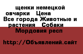 щенки немецкой овчарки › Цена ­ 15 000 - Все города Животные и растения » Собаки   . Мордовия респ.